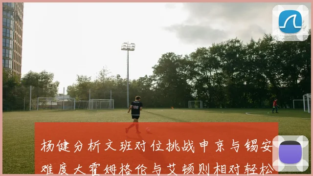 杨健分析文班对位挑战申京与锡安难度大霍姆格伦与艾顿则相对轻松