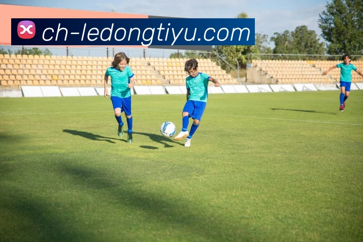 乐动体育发展历程